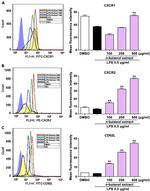 CD182 (CXCR2) Antibody in Flow Cytometry (Flow)