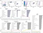 CD11b Antibody in Flow Cytometry (Flow)