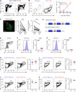 CD279 (PD-1) Antibody in Flow Cytometry (Flow)