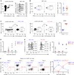 TCR beta Antibody in Flow Cytometry (Flow)