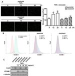 CD106 (VCAM-1) Antibody in Flow Cytometry (Flow)