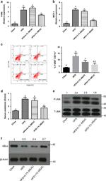 F4/80 Antibody in Flow Cytometry (Flow)