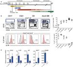 CD34 Antibody in Flow Cytometry (Flow)