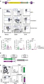 CD19 Antibody in Flow Cytometry (Flow)