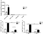 CD11c Antibody in Flow Cytometry (Flow)