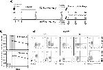 CD183 (CXCR3) Antibody in Flow Cytometry (Flow)