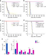 CD3e Antibody in Flow Cytometry (Flow)