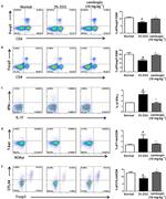 CD152 (CTLA-4) Antibody in Flow Cytometry (Flow)