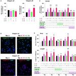 CD49d (Integrin alpha 4) Antibody in Flow Cytometry (Flow)