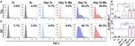 CD279 (PD-1) Antibody in Flow Cytometry (Flow)