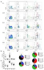 ROR gamma (t) Antibody in Flow Cytometry (Flow)