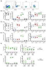 ROR gamma (t) Antibody in Flow Cytometry (Flow)