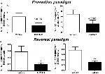 IL-1 beta (Pro-form) Antibody