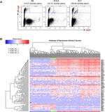 CD144 (VE-cadherin) Antibody in Flow Cytometry (Flow)