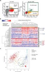 CD41a Antibody in Flow Cytometry (Flow)