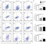 CD80 (B7-1) Antibody in Flow Cytometry (Flow)