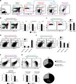 FOXP3 Antibody in Flow Cytometry (Flow)