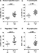 CD45R (B220) Antibody in Immunohistochemistry (IHC)