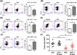 CD69 Antibody in Flow Cytometry (Flow)