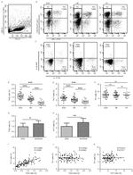 CD4 Antibody in Flow Cytometry (Flow)