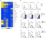 Gata-3 Antibody in Flow Cytometry (Flow)