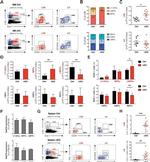 Ly-6A/E (Sca-1) Antibody in Flow Cytometry (Flow)