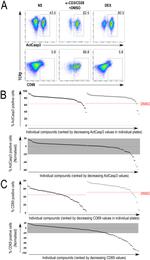 CD69 Antibody in Flow Cytometry (Flow)