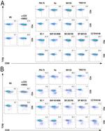 CD69 Antibody in Flow Cytometry (Flow)