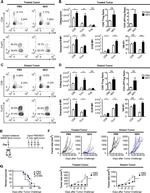 CD275 (B7-H2) Antibody in Flow Cytometry (Flow)