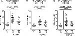 CD45R (B220) Antibody in Immunohistochemistry, Immunohistochemistry (Paraffin) (IHC, IHC (P))