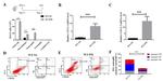 Ly-6G/Ly-6C Antibody in Flow Cytometry (Flow)