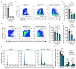 CD117 (c-Kit) Antibody in Flow Cytometry (Flow)