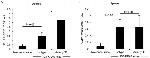 CD4 Antibody