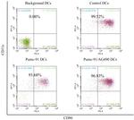 CD86 (B7-2) Antibody in Flow Cytometry (Flow)