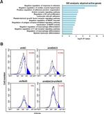 CD11b Antibody in Flow Cytometry (Flow)