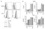 CD14 Antibody in Flow Cytometry (Flow)