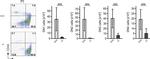 TCR beta Antibody in Flow Cytometry (Flow)