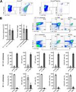 TCR beta Antibody in Flow Cytometry (Flow)