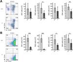 TCR beta Antibody in Flow Cytometry (Flow)