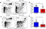 CD8 alpha Antibody in Flow Cytometry (Flow)