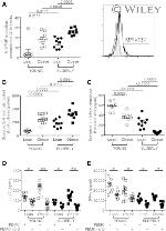 CD3 Antibody in Functional Assay (FN)