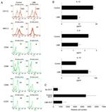 CD86 (B7-2) Antibody in Flow Cytometry (Flow)