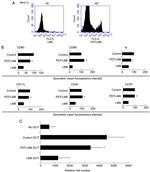 CD154 (CD40 Ligand) Antibody in Flow Cytometry (Flow)