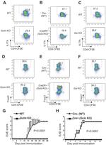 CD4 Antibody in Flow Cytometry (Flow)