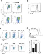 CD4 Antibody in Flow Cytometry (Flow)