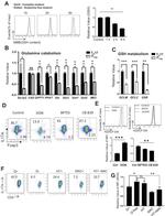 CD4 Antibody in Flow Cytometry (Flow)