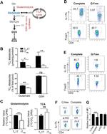 CD4 Antibody in Flow Cytometry (Flow)