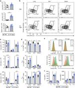 EOMES Antibody in Flow Cytometry (Flow)