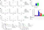 CD4 Antibody in Flow Cytometry (Flow)