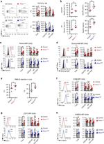 Granzyme B Antibody in Flow Cytometry (Flow)